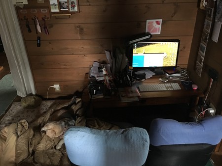 パソコン周り、ぐちゃぐちゃ、そして布団かよ!(うみちゃんとおかーさん昼寝用)
