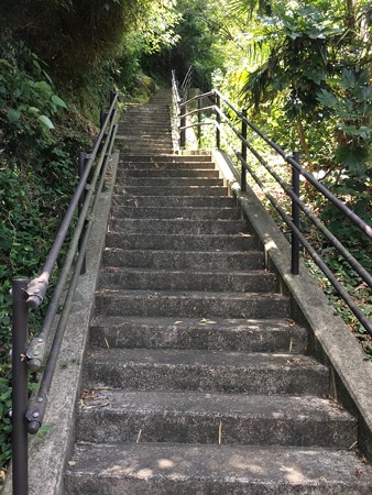 階段登ってみましょう!