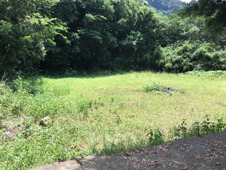 裏に回ると広場がある!