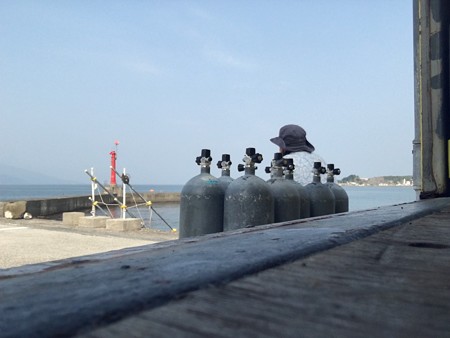 静浦の海とタンクに紛れているあかねーさん