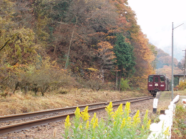 Photos: わたらせ渓谷鉄道