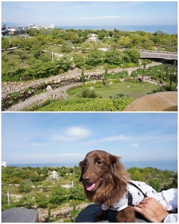 2014061305