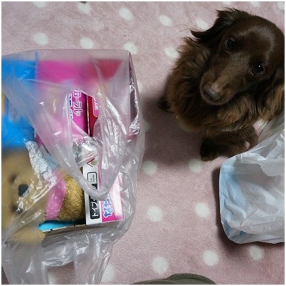 2016020401