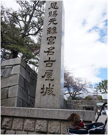 2018042802