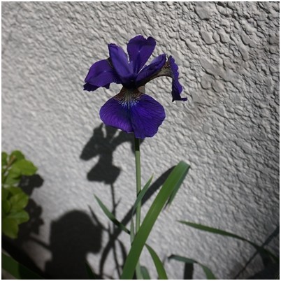 2018052607