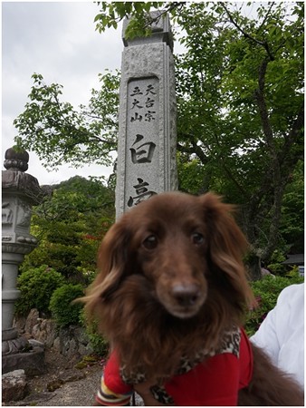 2018071504