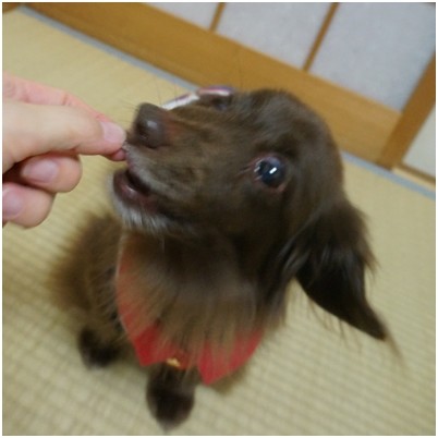 2019032207
