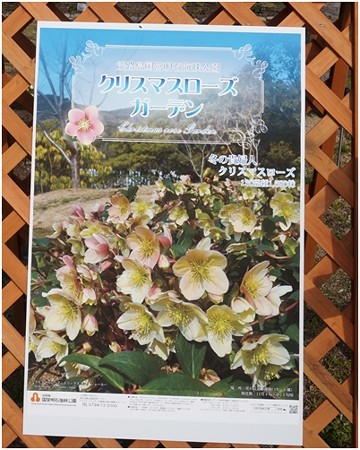 2019052305