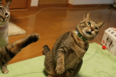 僕のオモチャなのに…