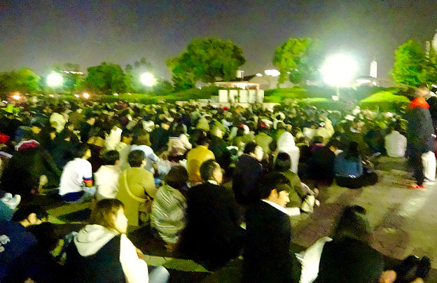名港水上芸術花火 2015 No - 8:花火を見ようと集まった大勢の人(ガーデンふ頭臨港緑園)