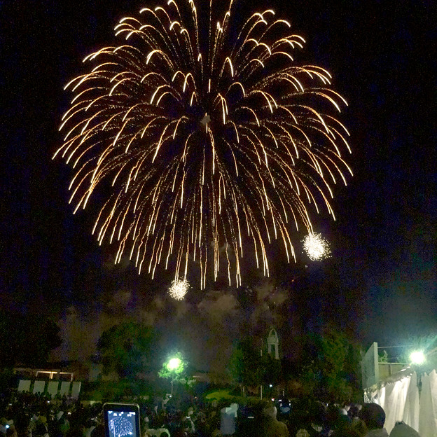 名港水上芸術花火 2015 No - 28