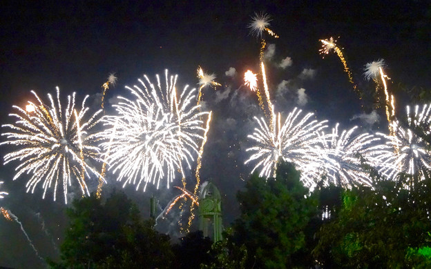 名港水上芸術花火 2015 No - 48