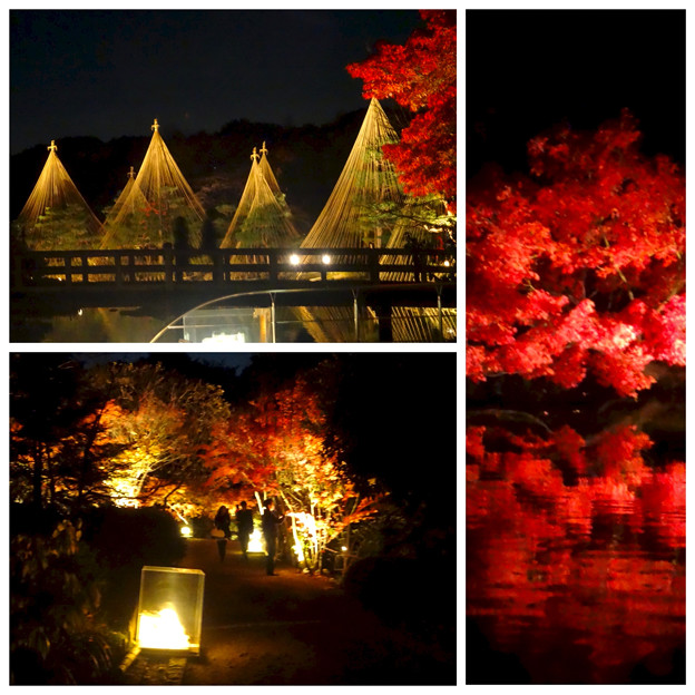 白鳥庭園の紅葉ライトアップ 2015(まとめ)No - 3