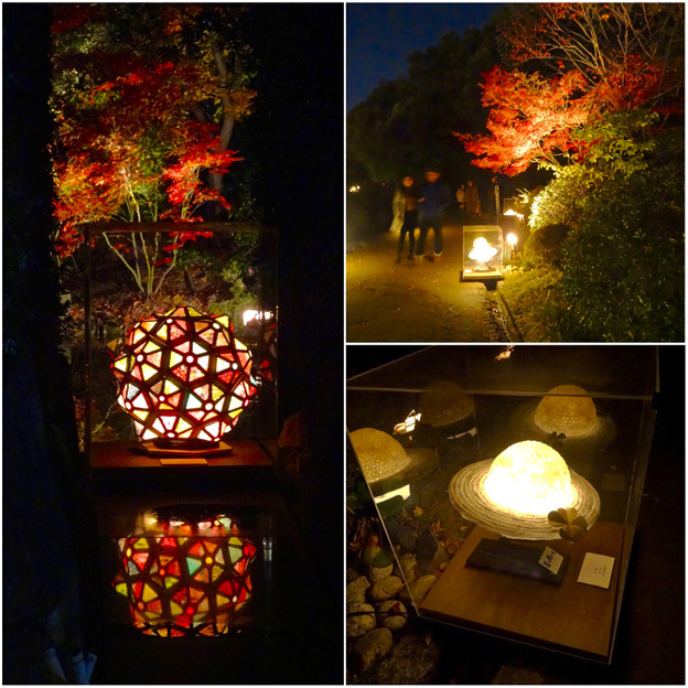 白鳥庭園 紅葉ライトアップ 2015:紅葉に彩りを添える、個性的な様々な美濃和紙あかりアートの作品 - 8