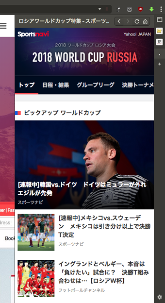 Vivaldi WEBパネル:Sportsnaviのワールドカップ特集 - 1