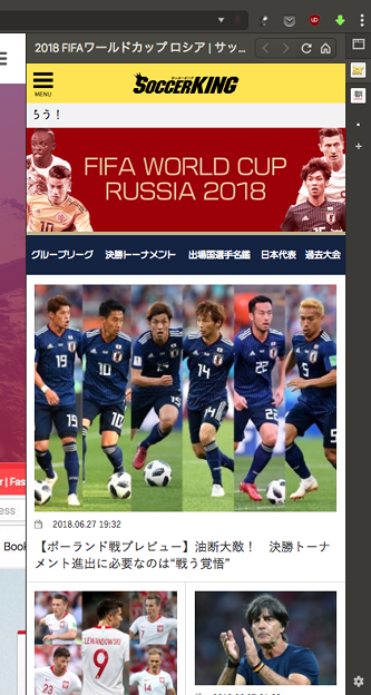 Vivaldi WEBパネル:サッカーキングのワールドカップ特集 - 1