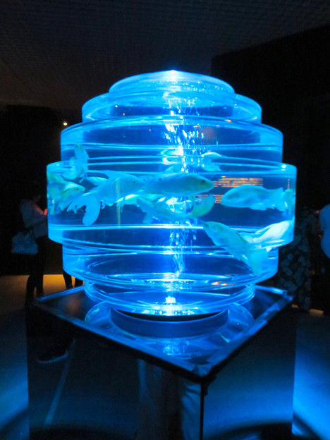アートアクアリウム展 2018 No - 58