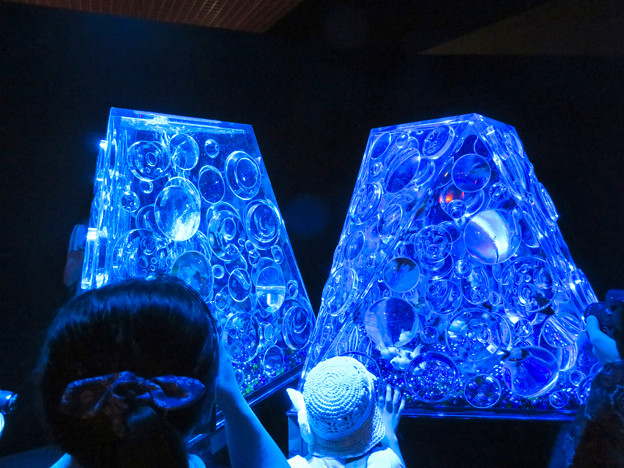 アートアクアリウム展 2018 No - 98