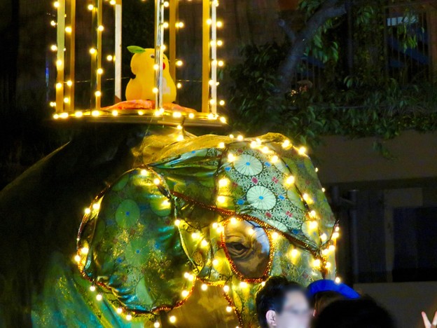 Photos: 東山動植物園ナイトZoo 2018 No - 56：「ペラヘラ祭」風の装飾がなされてた象の像の上にズーボ