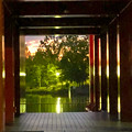Photos: 落合公園水の塔の柱の間から見えた夕焼け - 2