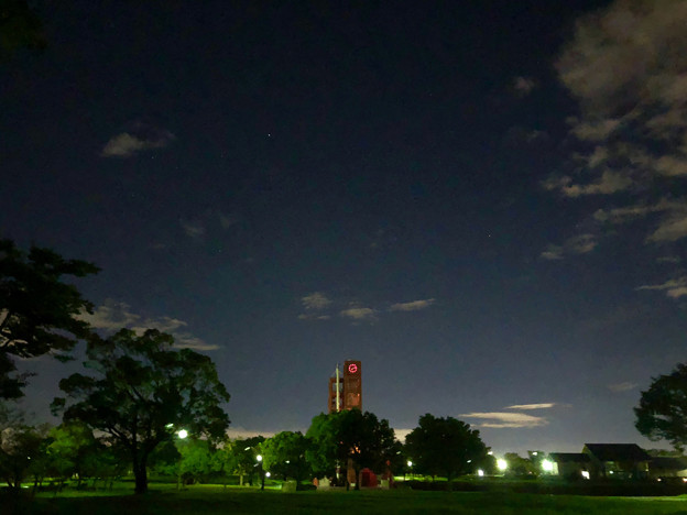 Photos: iPhone 8で撮影した夜の落合公園
