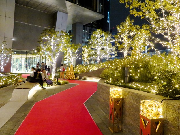 すごく雰囲気が良かった、大名古屋ビルヂング5階「スカイガーデン」のクリスマス・イルミネーション - 14