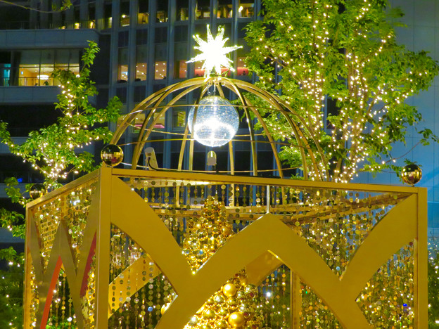 すごく雰囲気が良かった、大名古屋ビルヂング5階「スカイガーデン」のクリスマス・イルミネーション - 26