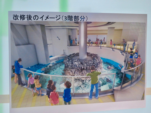 名古屋港水族館 リニューアル工事中だったウミガメの水槽 3 改修後のイメージ 写真共有サイト フォト蔵