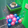 Photos: 名古屋市科学館「絶滅動物研究所」展 No - 134：ゾウのうんち1日分（約100kg）
