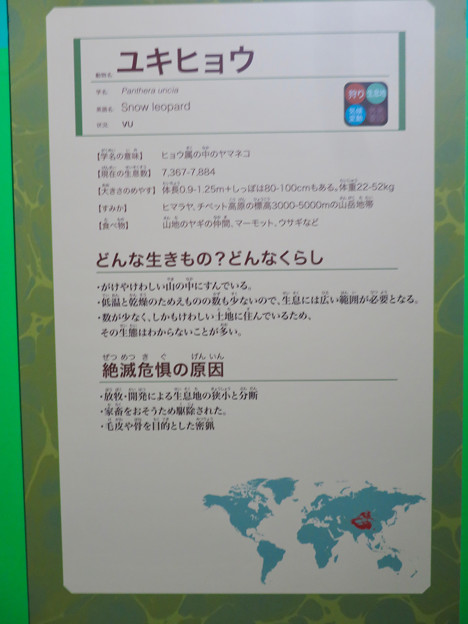 Photos: 名古屋市科学館「絶滅動物研究所」展 No - 145：ユキヒョウの説明