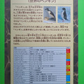 Photos: 名古屋市科学館「絶滅動物研究所」展 No - 148：ペンギンの絶滅危機について