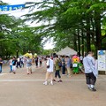 鶴舞公園納涼まつり 2019 No - 2：祭りよりポケモンGoの人たちがいっぱい！？