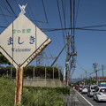 Photos: ましき
