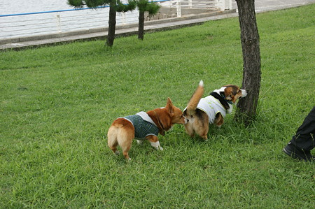 DSC02349