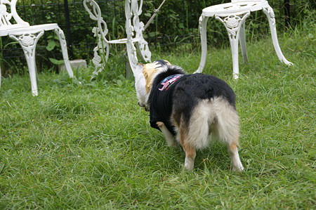 DSC02467