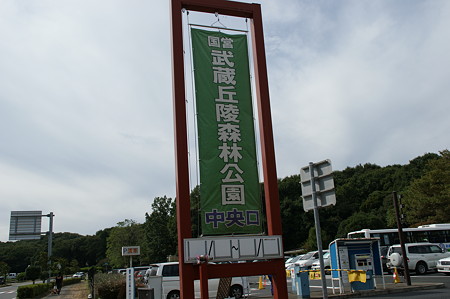 DSC02940