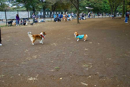 DSC03415