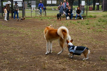 DSC03421