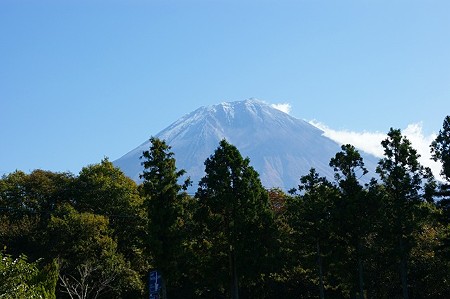 DSC03488