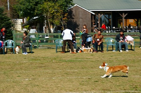 DSC03669