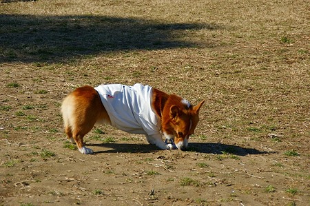 DSC06376