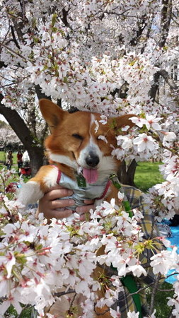 20140406_113810