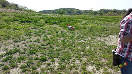 20140427_133704