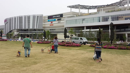20140505_120155
