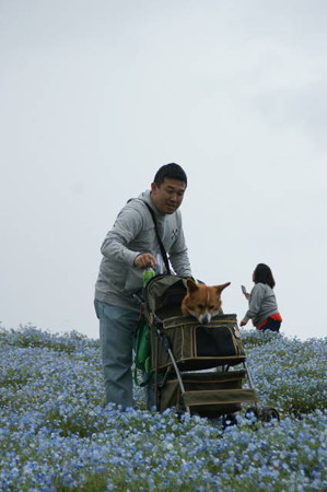 DSC03173