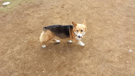 20140506_165100
