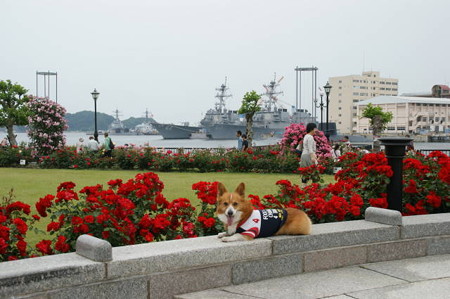 DSC03442