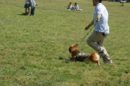 DSC03619