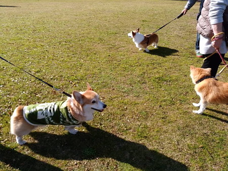 IMG_20160103_113659