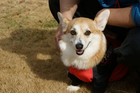 DSC05193